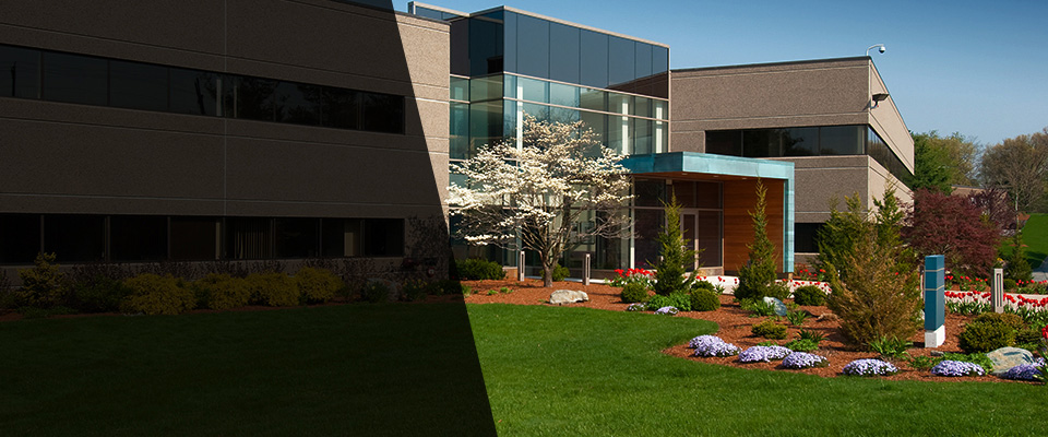 Sherman Oaks Landscapers