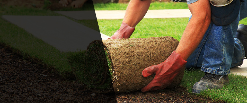 Sherman Oaks Landscapers